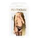 Колготки с имитацией чулок на подвязках Penthouse - Special Extra Black XL SO5291 фото 3