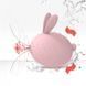 Вакуумный клиторальный стимулятор с вибрацией KisToy Miss KK Pink SO3620 фото 9