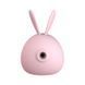 Вакуумный клиторальный стимулятор с вибрацией KisToy Miss KK Pink SO3620 фото 2