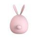 Вакуумный клиторальный стимулятор с вибрацией KisToy Miss KK Pink SO3620 фото 3