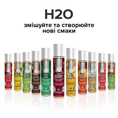 Смазка на водной основе System JO H2O &mdash; Raspberry Sorbet (120 мл) без сахара, растительный глицерин SO1671 фото