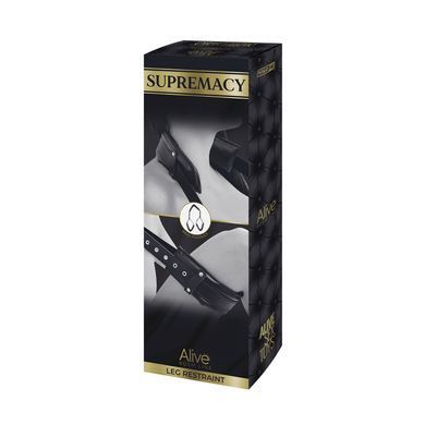 Alive SUPREMACY (Leg Restraint) SO6737 фото