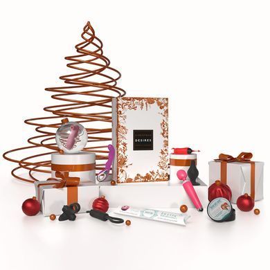 Набор игрушек Adrien Lastic Advent Calendar 2022 SO6740 фото