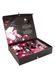 Подарочный набор Shunga NAUGHTY Cosmetic Kit SO6896 фото 2