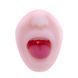 Двосторонній мастурбатор Men Powerup Eroticism: вагіна та ротик SO6231 фото 3